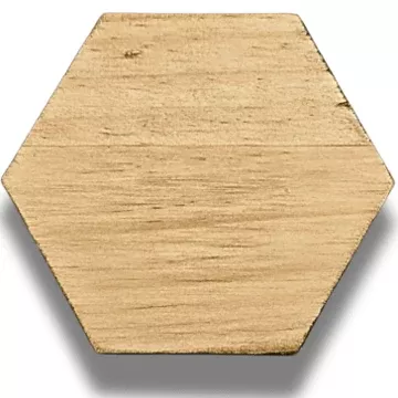 Pale Wood - Wood Stain Kit