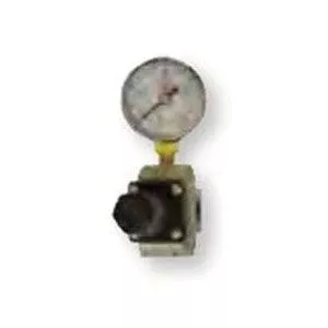RTi RG30 Regulator and Gauge Assembly, 3/8 in Port, Precise Pressure Control
